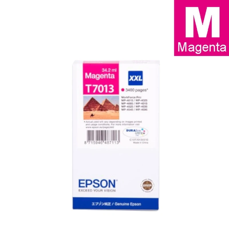 Tinta (Epson) T-7013 MA / C13T70134010